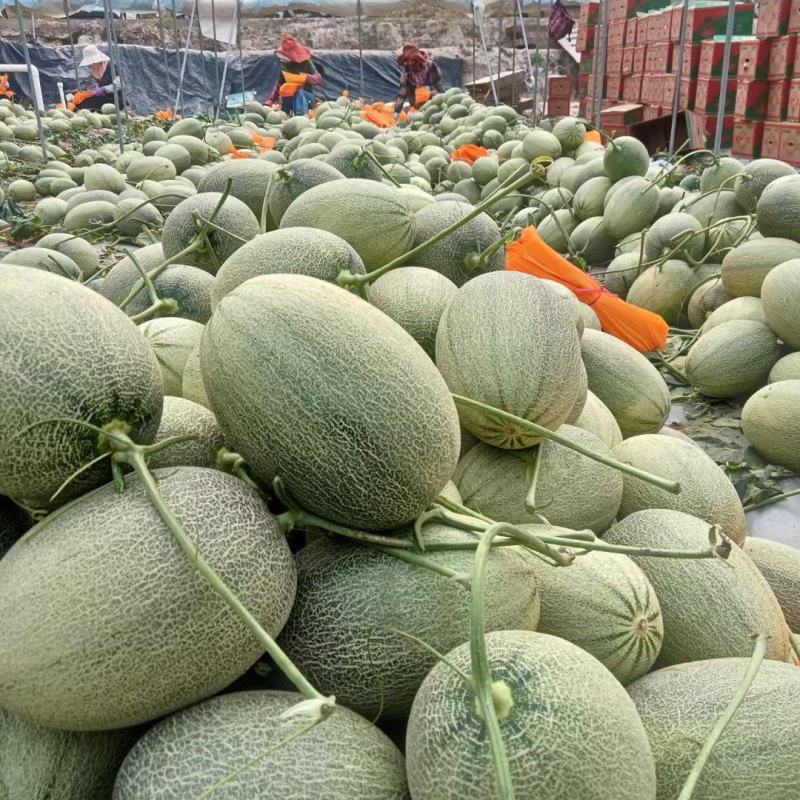 山东晓密大量供应，市场，商超，电商团购，欢迎来电咨询订购