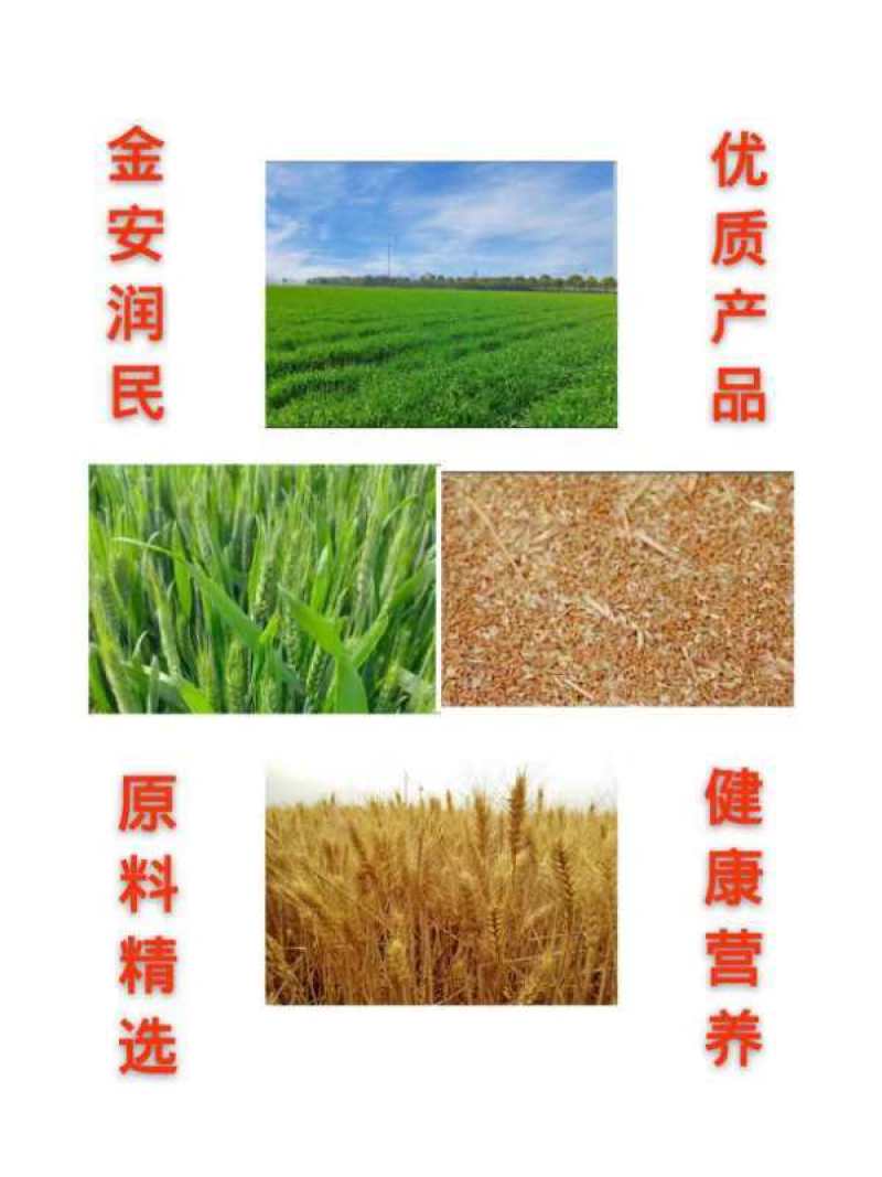 晋南优质产粮基地，零添加小麦粉