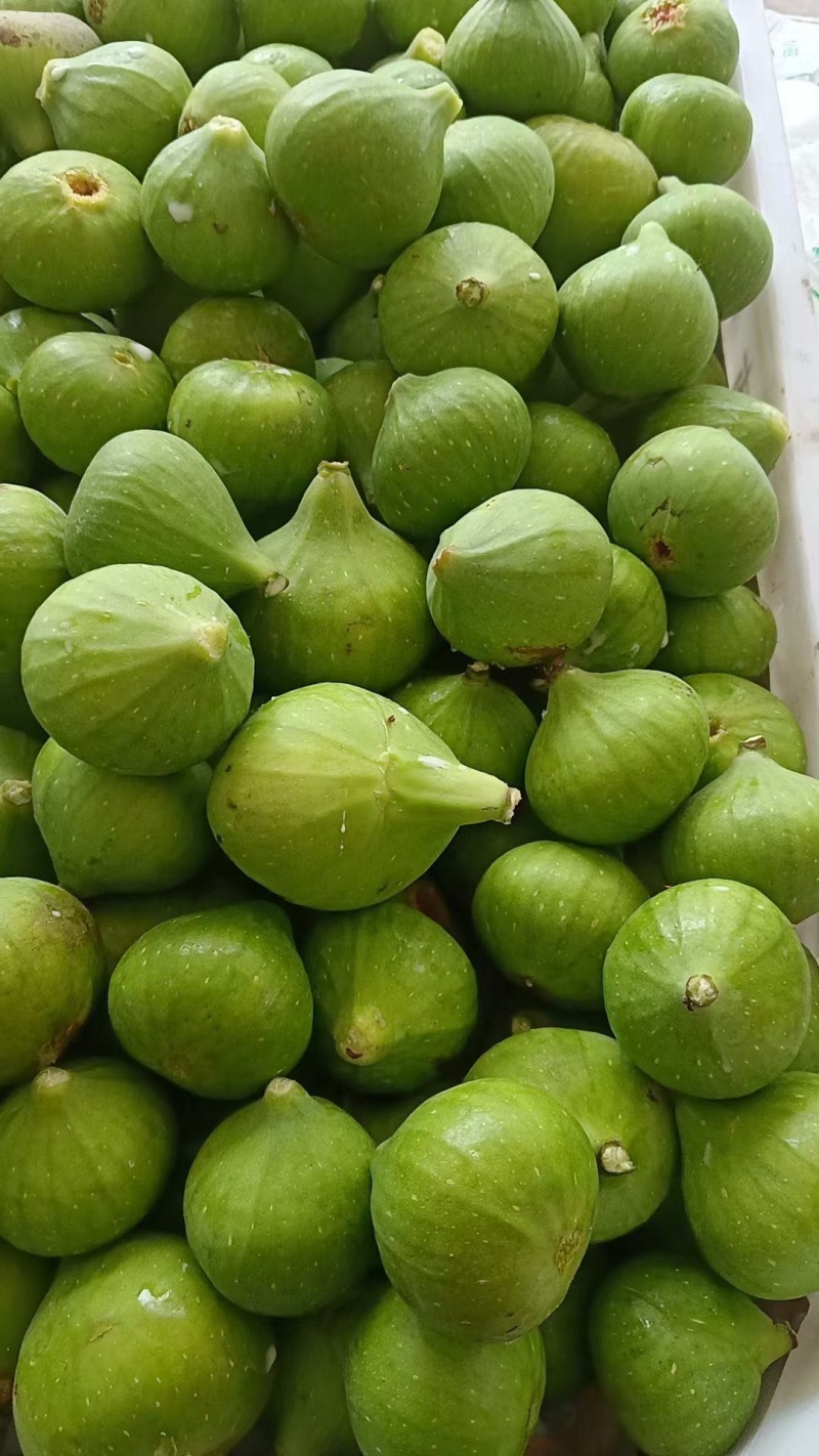 无花果，冻果，果干
