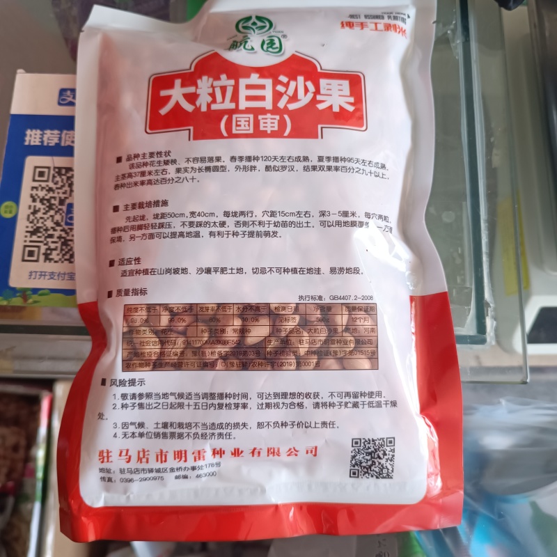 大粒白沙果花生种子纯手工剥米花生种子不带壳矮秧花生种出米