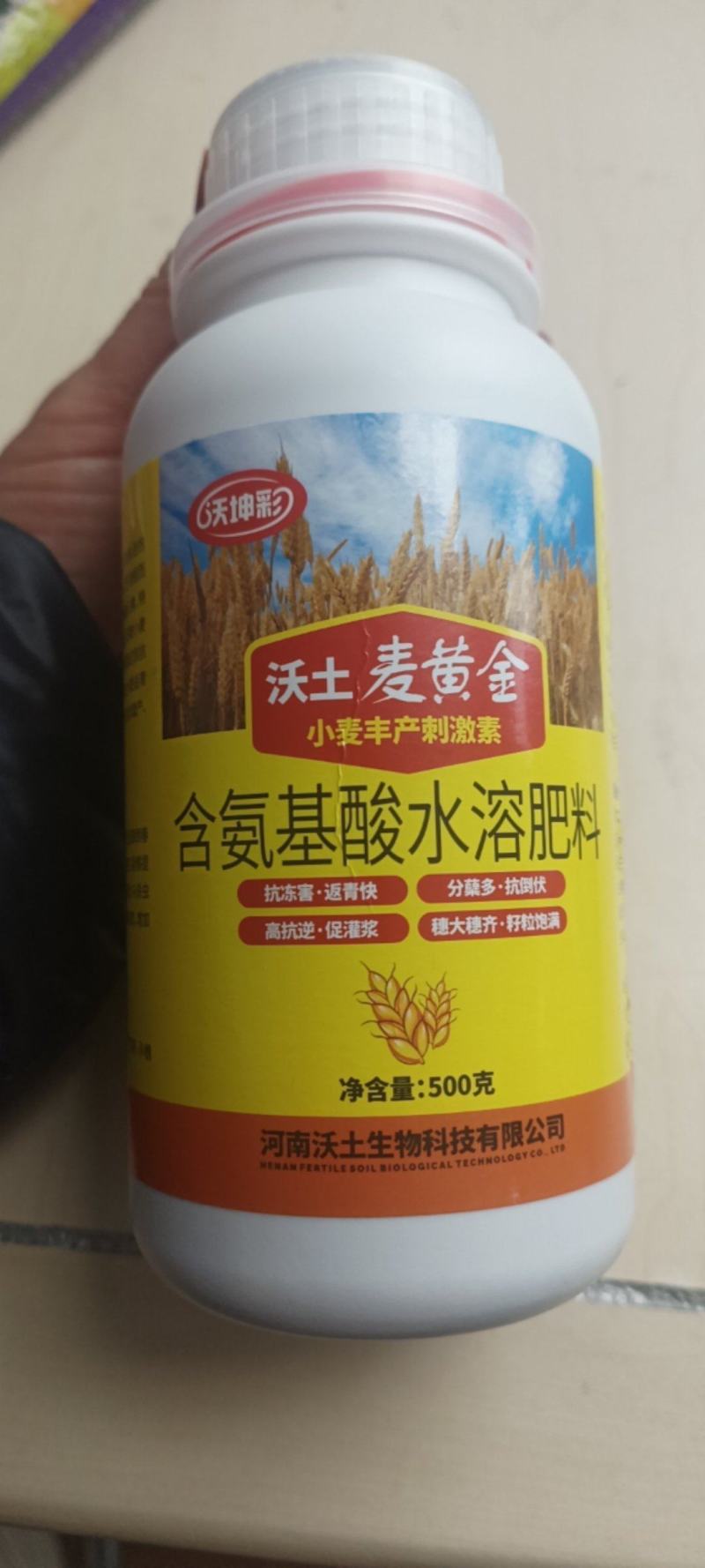 麦黄金抗寒防冻壮苗促茎抗逆抗倒伏穗大粒饱