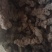 甘肃药材猪岺(湿货，干货都有)有统货.大货规格大小都有！