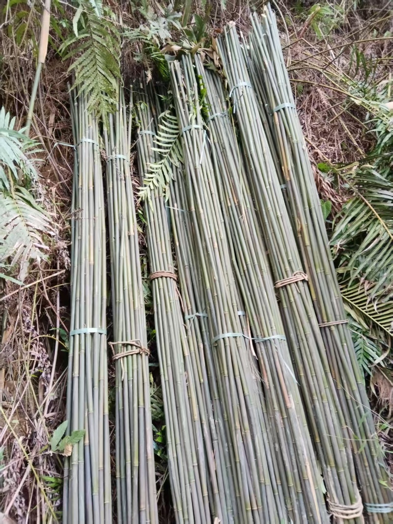 场地直销批发价，无中间商赚差价，主营:辣椒竹，冬瓜竹，菜架竹