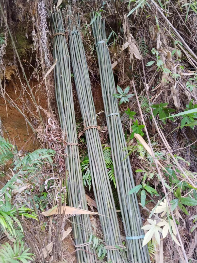 场地直销批发价，无中间商赚差价，主营:辣椒竹，冬瓜竹，菜架竹