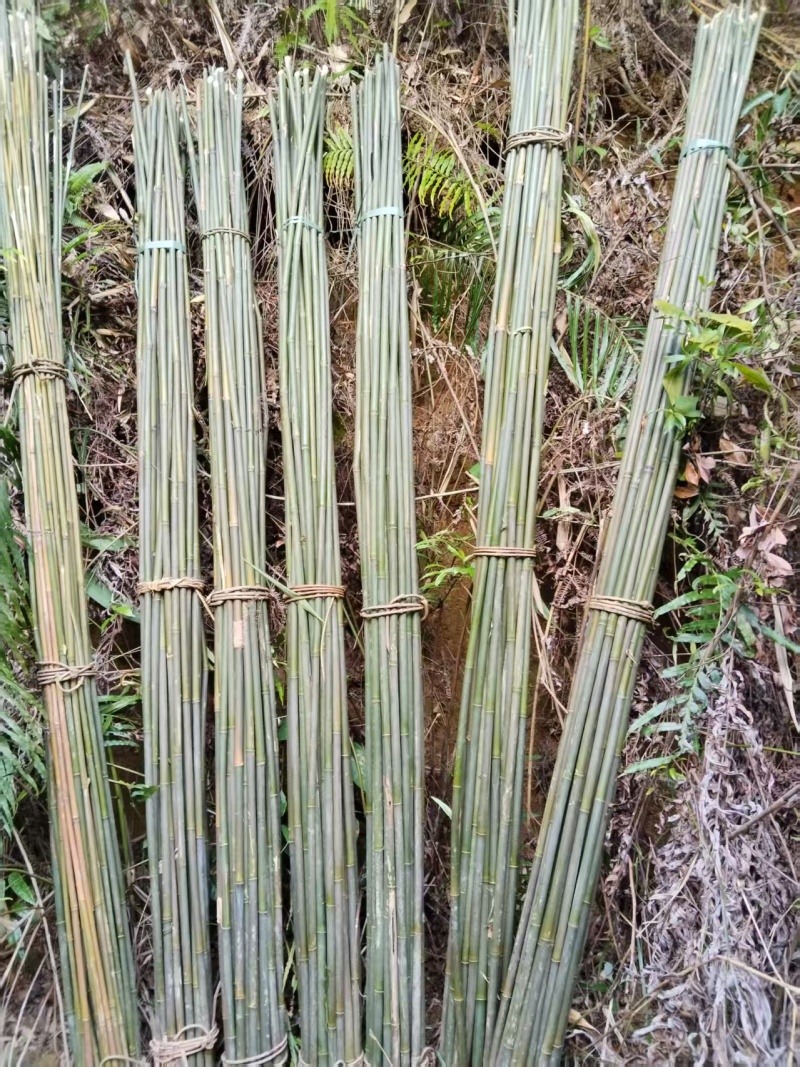 场地直销批发价，无中间商赚差价，主营:辣椒竹，冬瓜竹，菜架竹