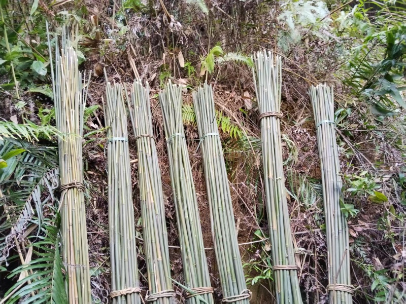 场地直销批发价，无中间商赚差价，主营:辣椒竹，冬瓜竹，菜架竹