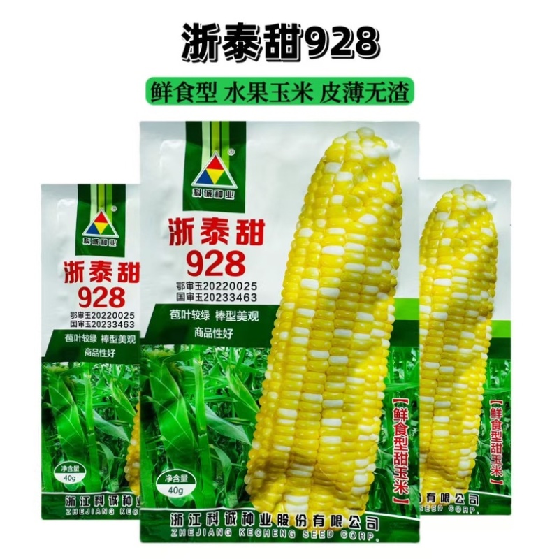 浙泰甜928水果玉米种子双色黄白超甜太阳花