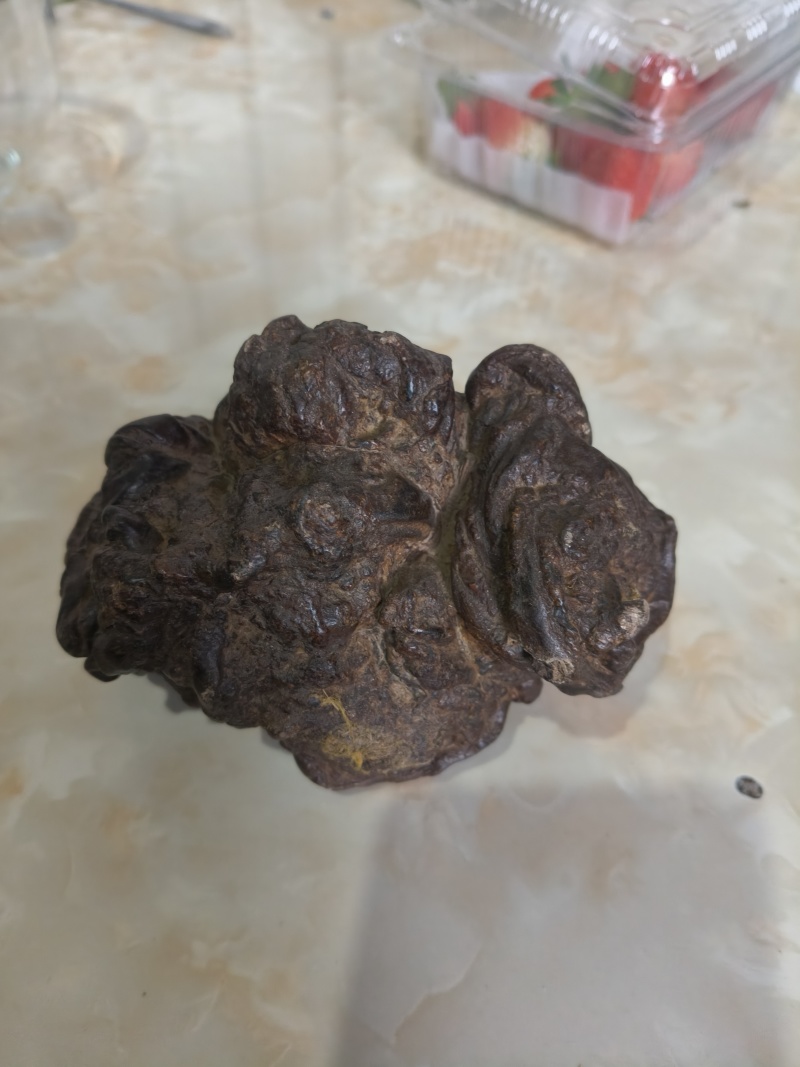 样宝
