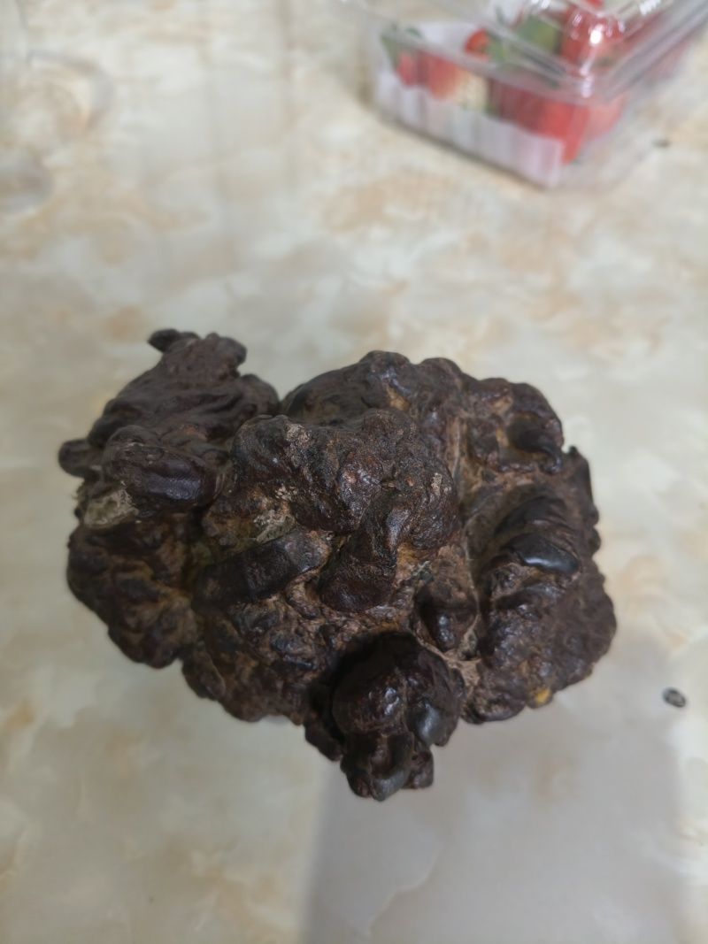 样宝
