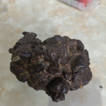 样宝