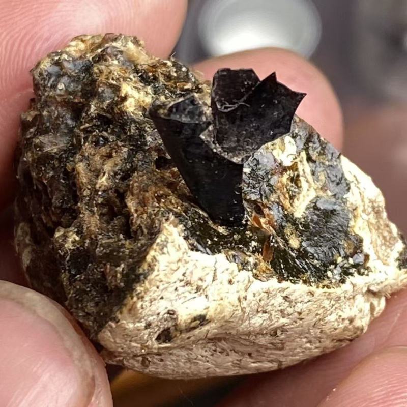 龙涎香（英文名Ambergris），又名龙腹香、龙漦、