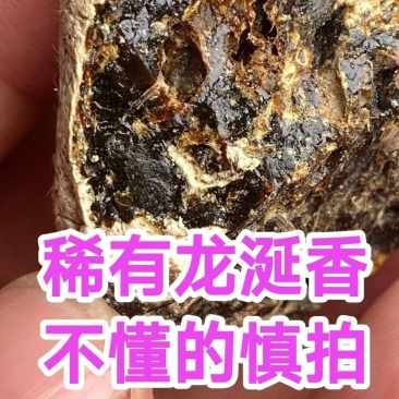 龙涎香（英文名Ambergris），又名龙腹香、龙漦、
