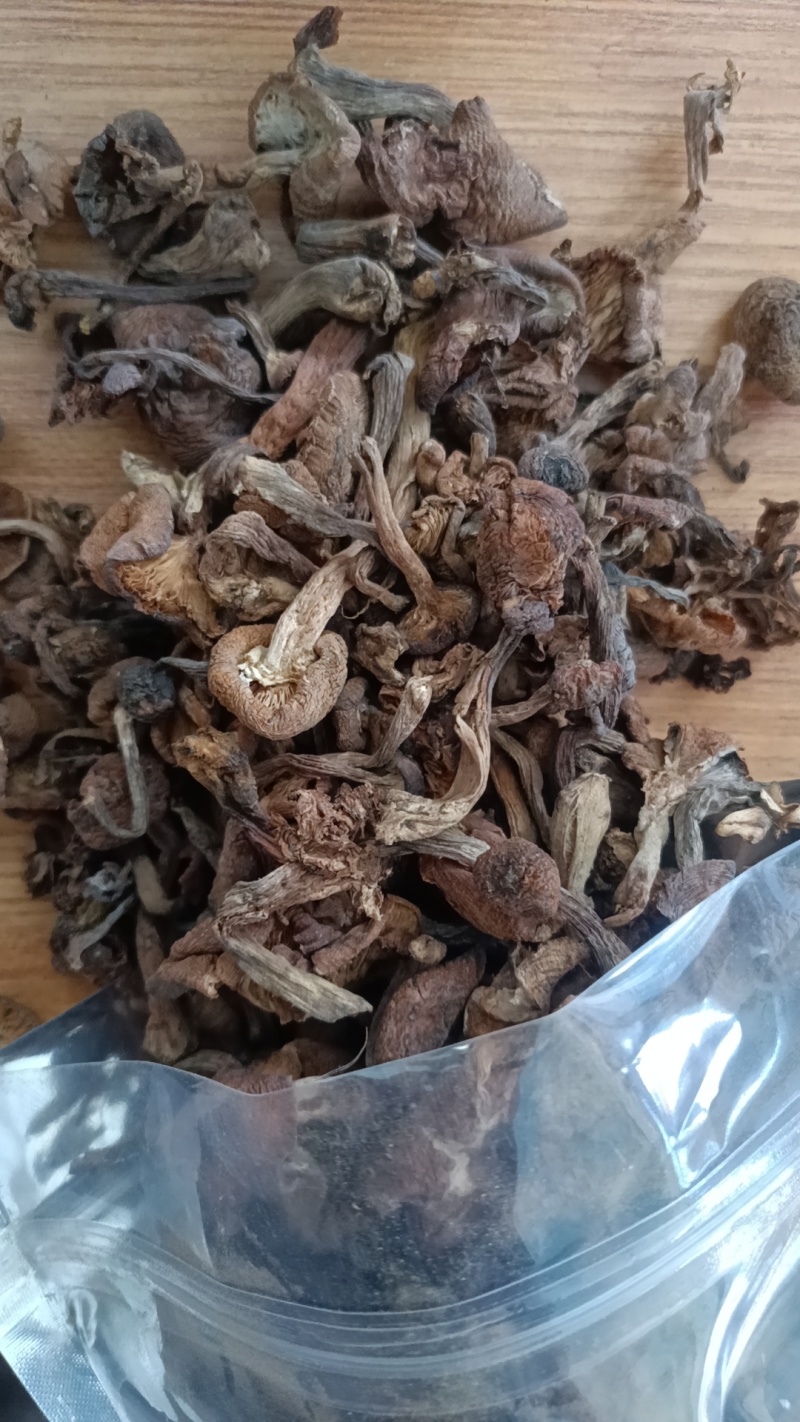 榛蘑批发自然晒干