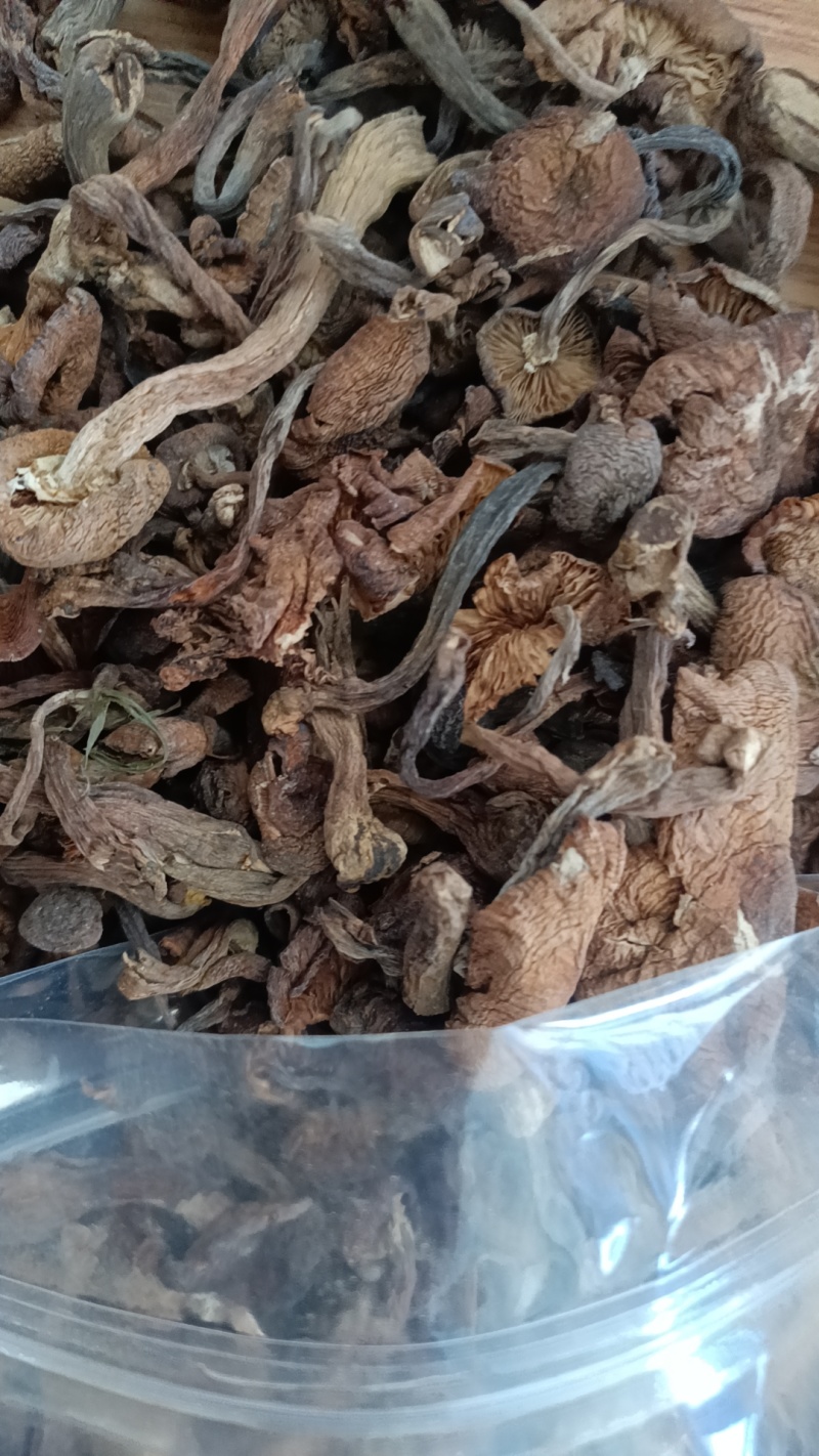 榛蘑批发自然晒干