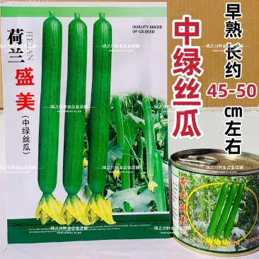 荷兰盛美丝瓜种子早熟特长中绿丝瓜种子翠绿长棒型肉质硬大田