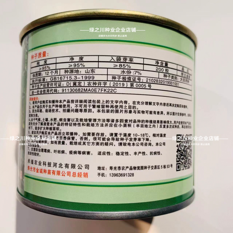 荷兰盛美丝瓜种子早熟特长中绿丝瓜种子翠绿长棒型肉质硬大田