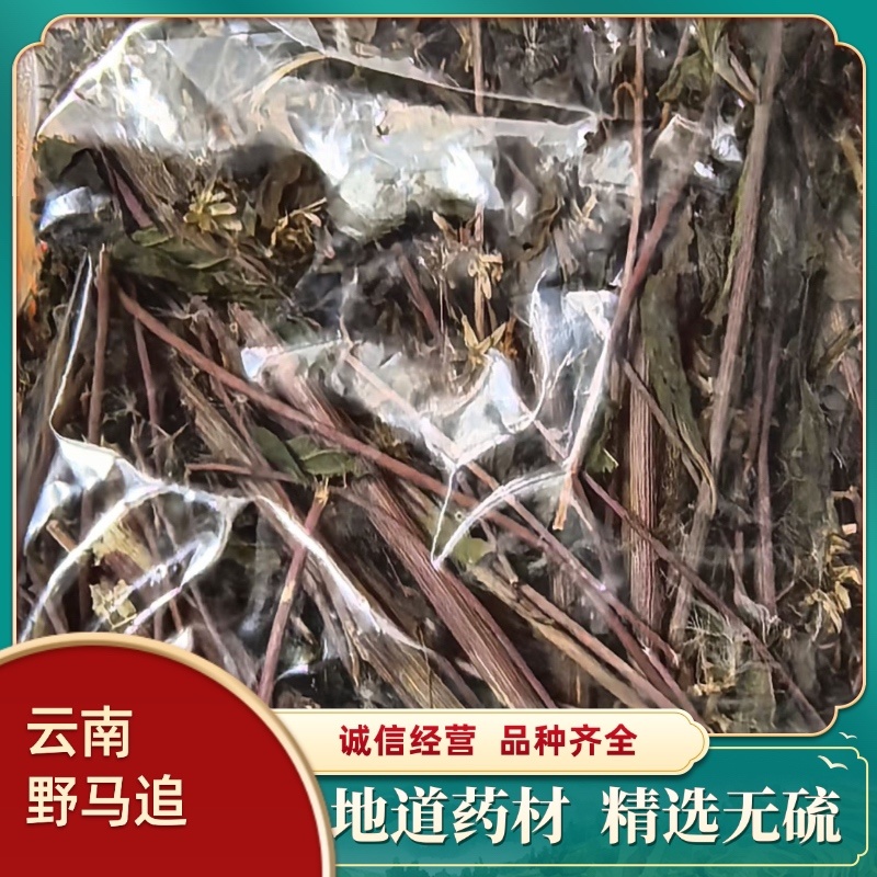 云南野马追今年新货包邮过检