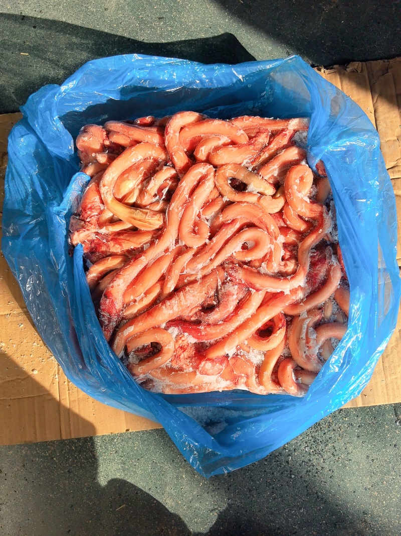 精修牛鞭，厂家直销，一手货源，量大从优，有需要的老板联系