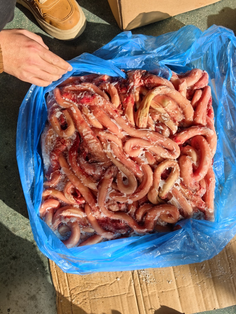 精修牛鞭，厂家直销，一手货源，量大从优，有需要的老板联系