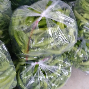 黄皮尖椒