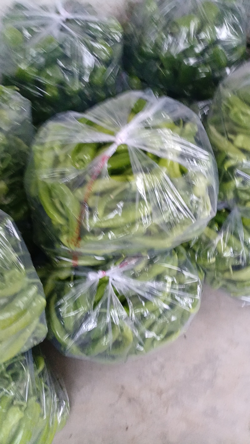 黄皮尖椒