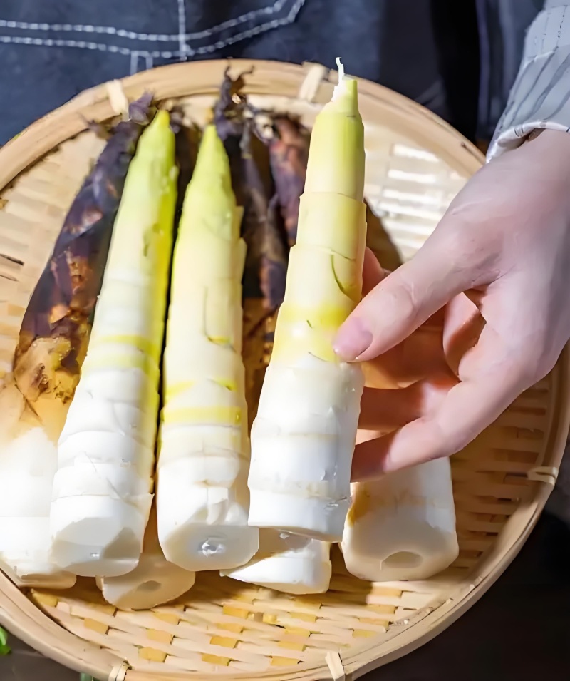 冬笋，野生为主，“不俗又不瘦，竹笋焖猪肉”天然美食
