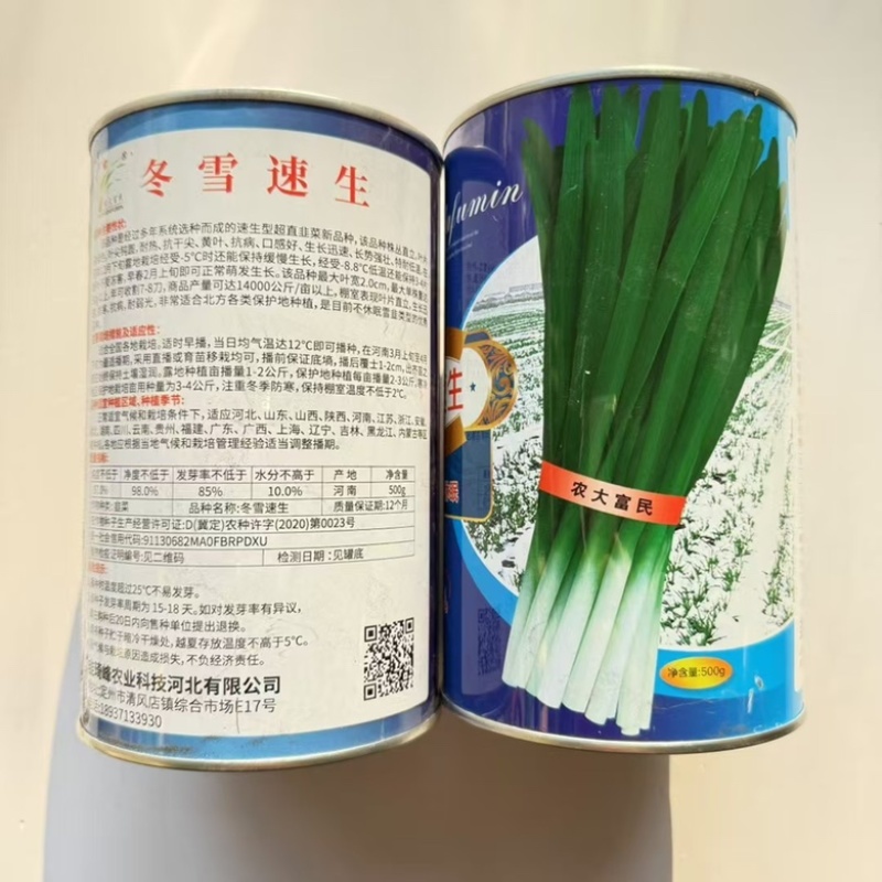 农大墨绿韭菜种子不休眠品种，颜色墨绿品种种子