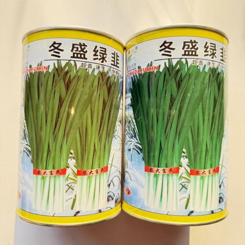 农大墨绿韭菜种子不休眠品种，颜色墨绿品种种子
