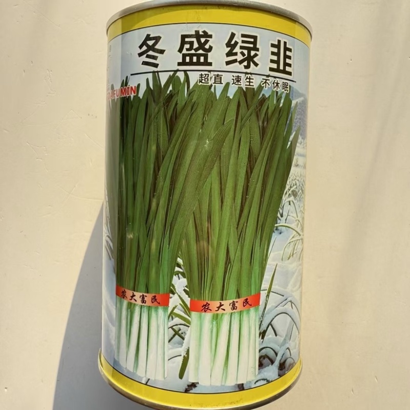 农大墨绿韭菜种子不休眠品种，颜色墨绿品种种子