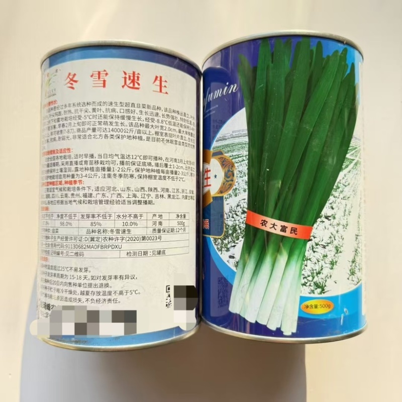 农大墨绿韭菜种子不休眠品种，颜色墨绿品种种子