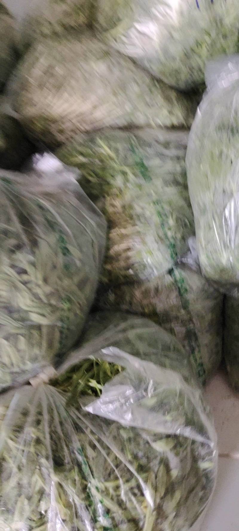 面条菜，常年供应，对接批发商，超市，电商。