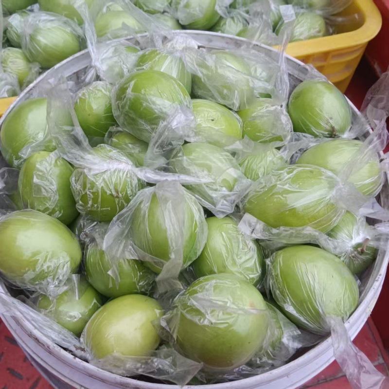 广西青枣牛奶枣大量现货供应，量大价优，对接全国客商，欢迎电联