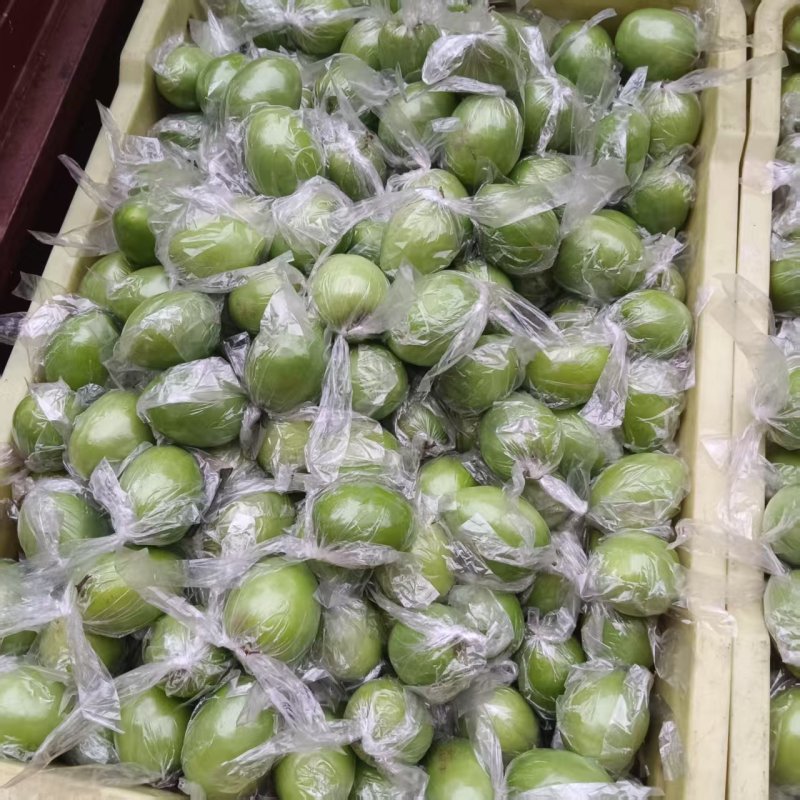 广西青枣牛奶枣大量现货供应，量大价优，对接全国客商，欢迎电联