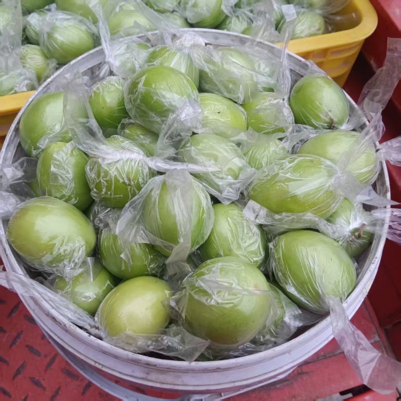 牛奶枣产地一手货源，脆甜多汁品质保证，欢迎电联
