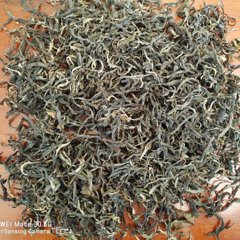 普洱绿茶