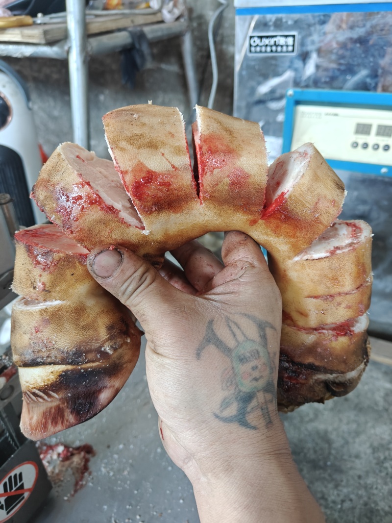 牛长蹄