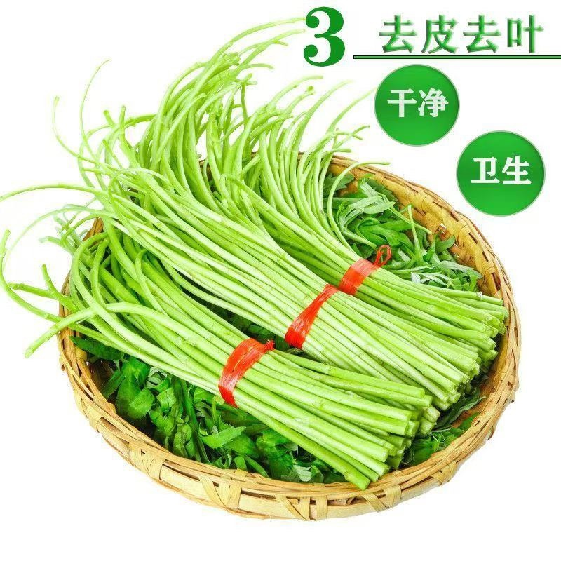芦蒿青蒿藜蒿柳蒿芽蒿子杆皇帝菜