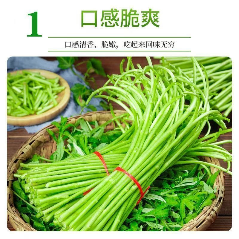 芦蒿青蒿藜蒿柳蒿芽蒿子杆皇帝菜