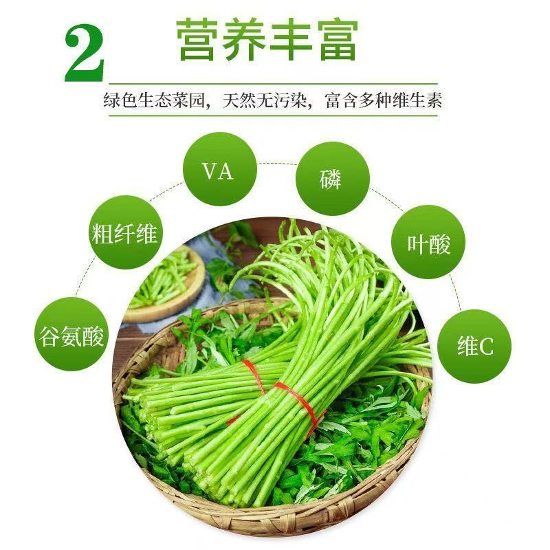 芦蒿青蒿藜蒿柳蒿芽蒿子杆皇帝菜