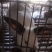 肉兔