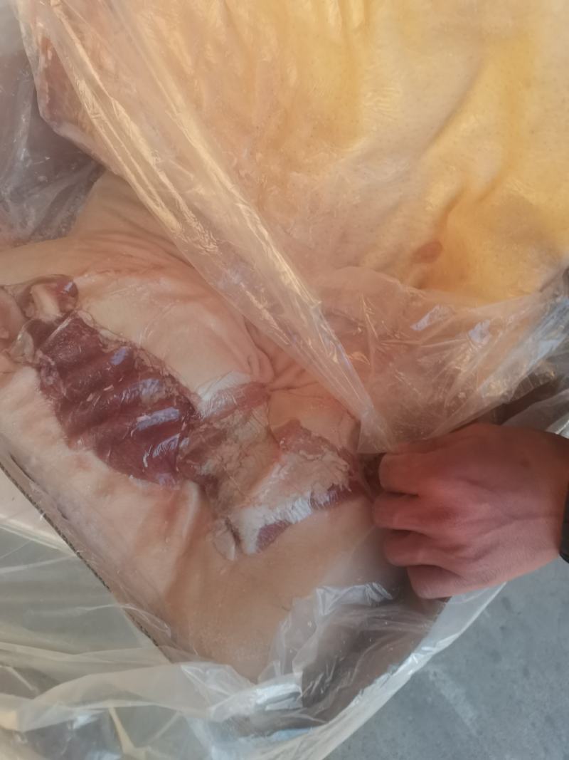 膘猪前后上肉，2到4片片都有价格不同，十公斤箱装