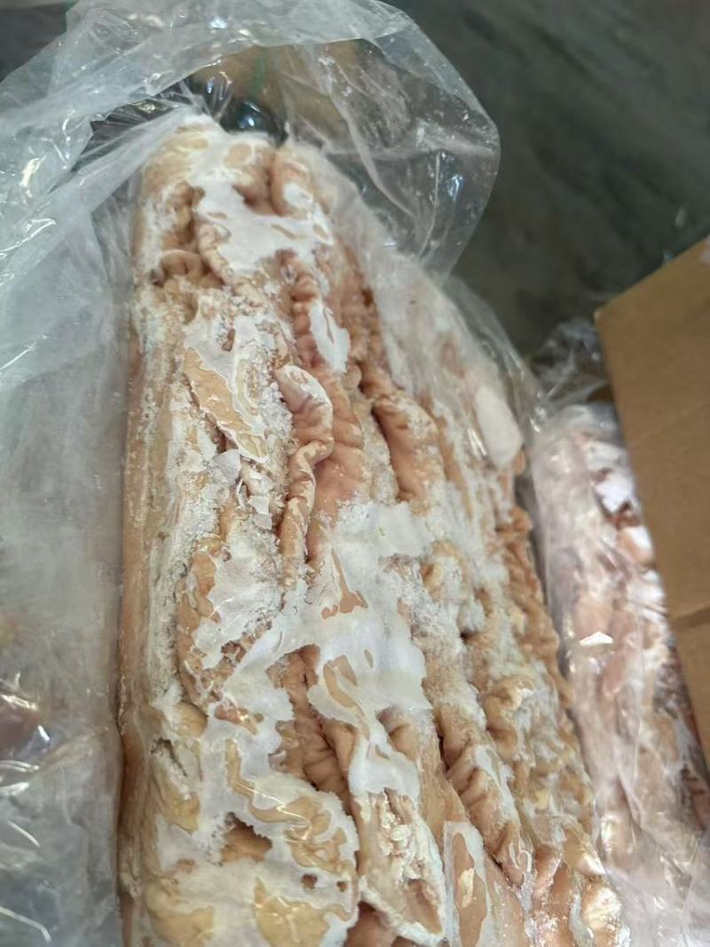 原色母猪大肠预煮去油85，十公斤箱装