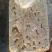 原色母猪大肠预煮去油85，十公斤箱装