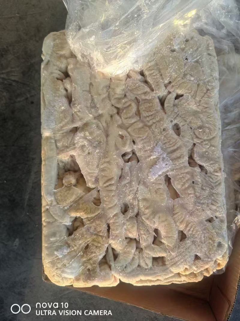 原色母猪大肠预煮去油85，十公斤箱装