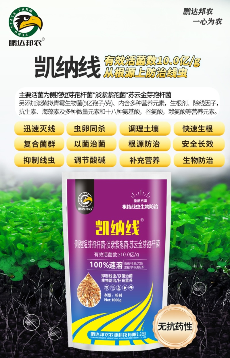 生物菌剂肥料抗菌根结线虫药冲施肥根部病害