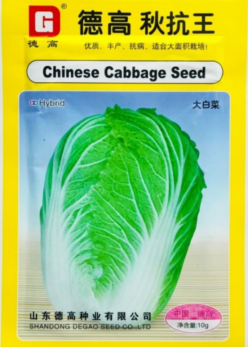 秋抗王白菜种子耐寒短圆筒高产量耐贮运白帮大白菜种