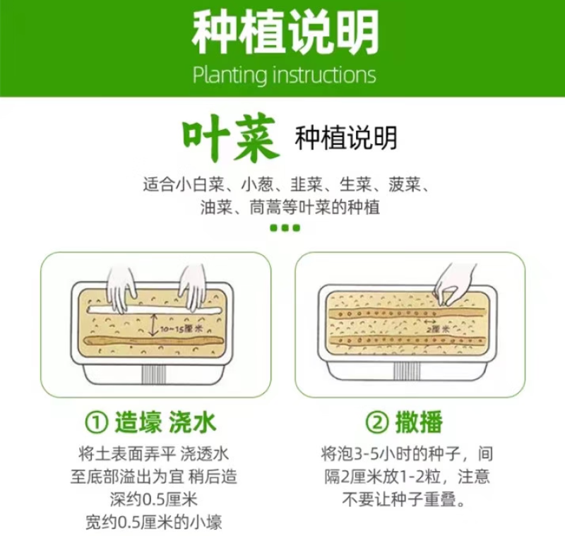 秋抗王白菜种子耐寒短圆筒高产量耐贮运白帮大白菜种
