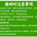 秋抗王白菜种子耐寒短圆筒高产量耐贮运白帮大白菜种