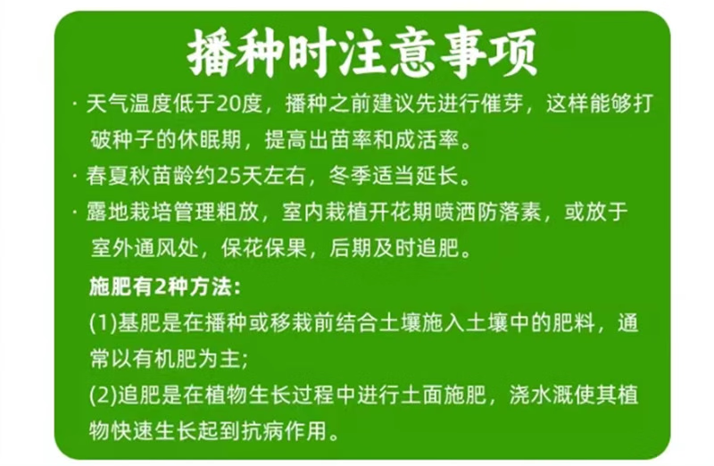 秋抗王白菜种子耐寒短圆筒高产量耐贮运白帮大白菜种