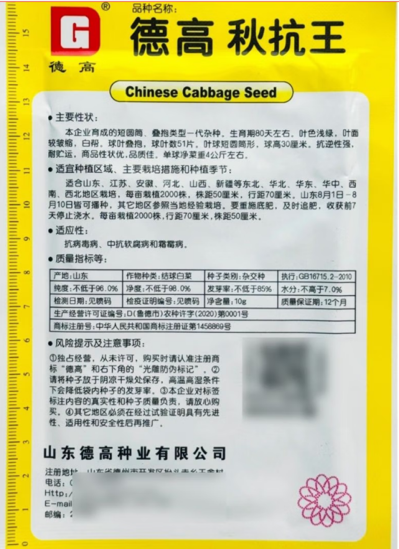 秋抗王白菜种子耐寒短圆筒高产量耐贮运白帮大白菜种